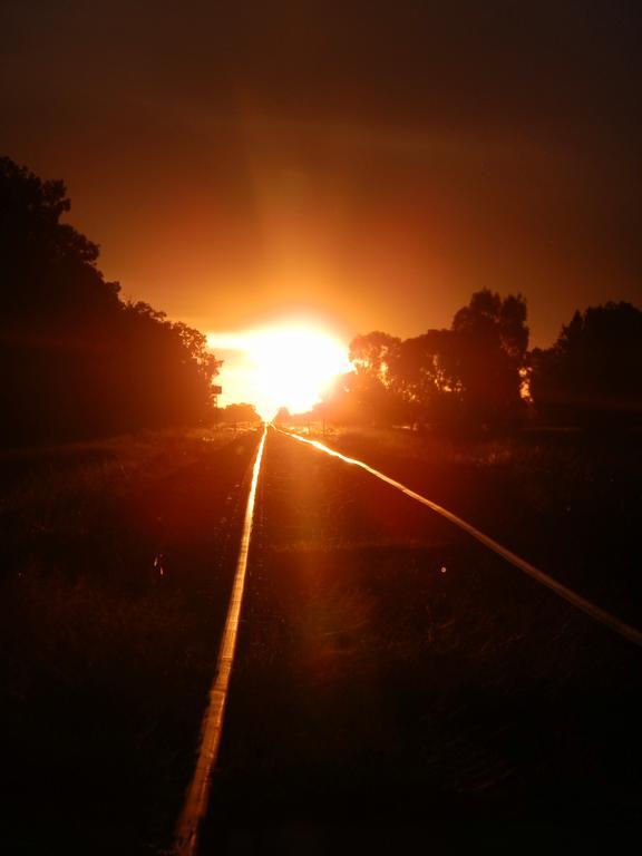 Narrabri Motel And Caravan Park Εξωτερικό φωτογραφία